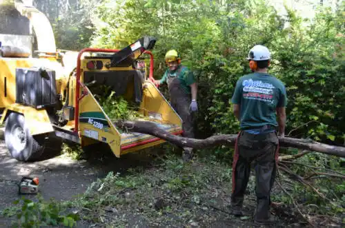 tree services Merritt Island